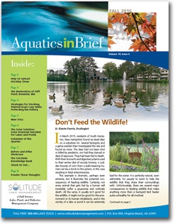 aquatics-in-brief-newsletter-fall-2016.jpg